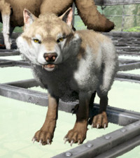 ARK ウルフの繁殖や妊娠のゲーム画面スクリーンショット