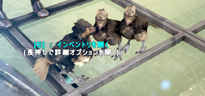 ARK アルゲンタヴィスのヒナのゲーム画面スクリーンショット
