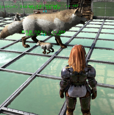 ARK ウルフの子供が小さい頃のゲーム画面スクリーンショット