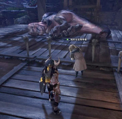 MONSTER HUNTER: WORLD 捕獲モンスターを観察する施設のゲーム画面