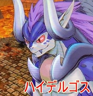 ハイデルゴス